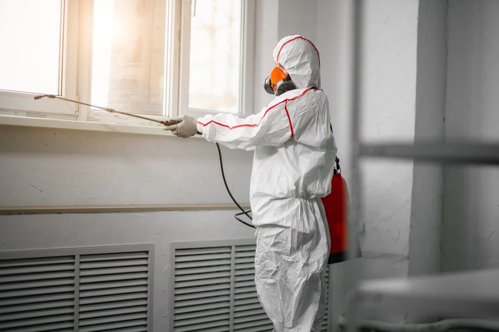 Professional mold remediation services in Dupont, WA